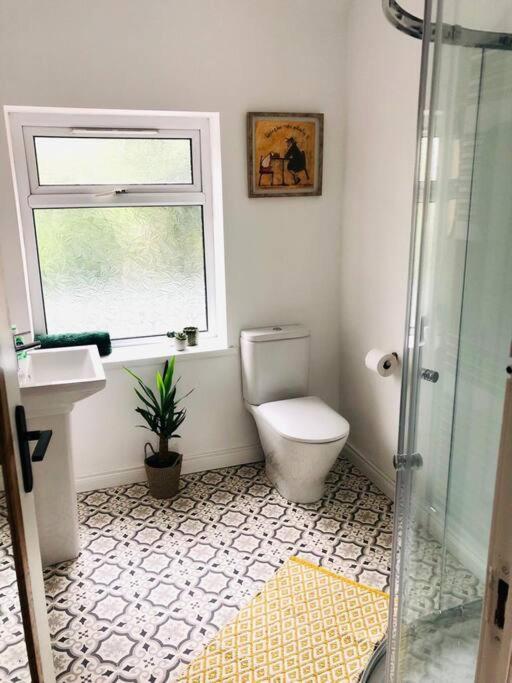 Cosy House, Lisburn Road Villa Belfast Ngoại thất bức ảnh