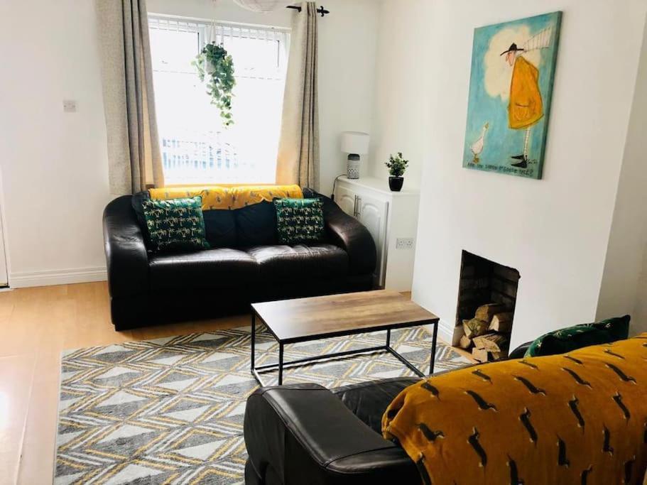 Cosy House, Lisburn Road Villa Belfast Ngoại thất bức ảnh